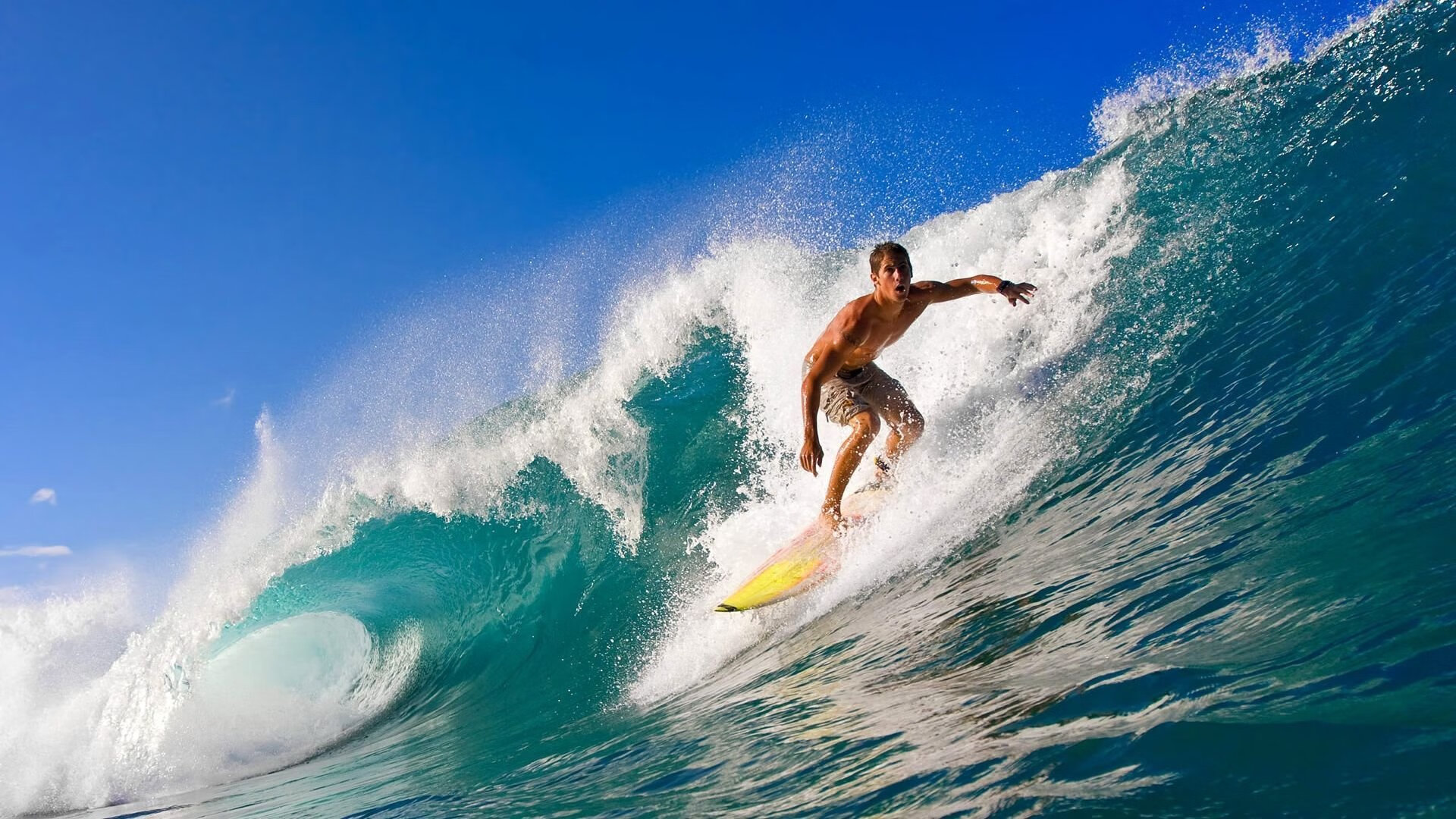从NBA总决赛到非洲之巅，尼斯制霸塞内加尔背后的竞技哲学