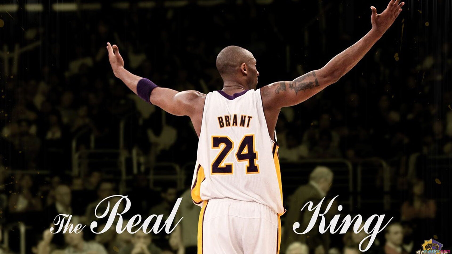 赛道上的无声革命，诺里斯关键制胜背后的梅赛德斯鏖战索伯车队